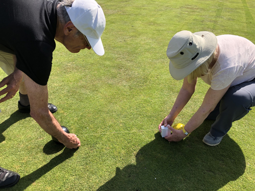 Two bowlers measuring the distance between a bowl and the jack