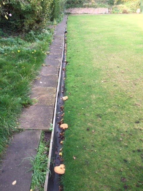 The far end of the green - before repairs