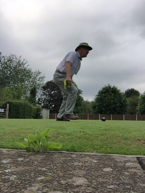 David preparing to deliver a wood. A large weed in the path in the foreground