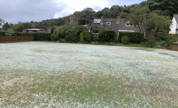 Picture of the green covered in hail.