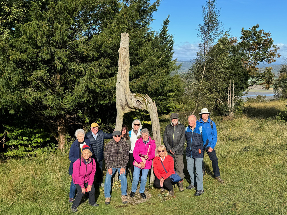 11 B&P walkers posing by the tree in the shape of a giraffe on the way to the viewpoint at Arnside Knott